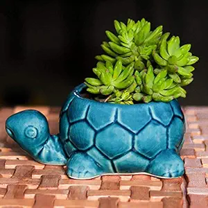 Lasaki Tortoise Small Special Crackle Effect Ceramic Pots Best use for Indoor Plants, Planters, Flower pots, Gamla for Indoor or Outdoor and Succulent Pot(Color:Blue LT-405)