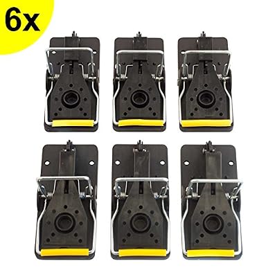 Aspectek Lot de 6 pièges à souris professionnelle (Premium) frappe cas Souris Rats Rongeur cas Trap plastique plastique Plusieurs reprises wiederverwendtbar lavable (6 Pack)