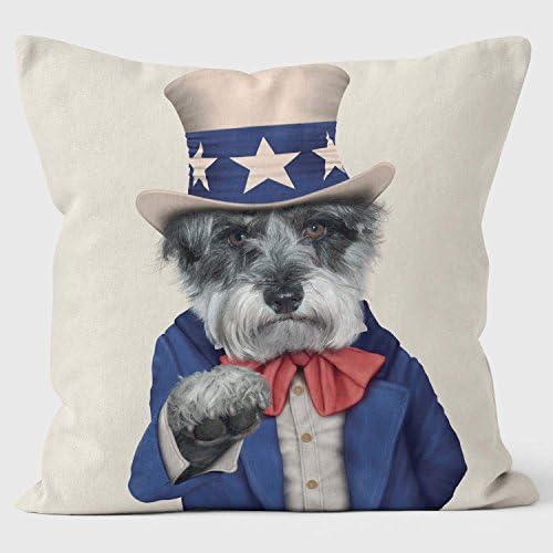 Uncle Sam - Pets Rock Cushion