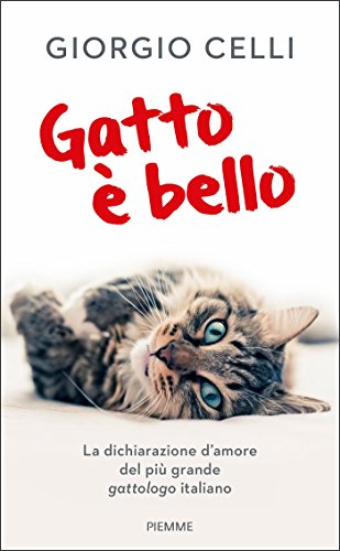 Download Gatto è bello Download Gatto è bello