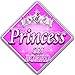 PINK & SILVER PRINCESS Baby on Board Car Window Sign
