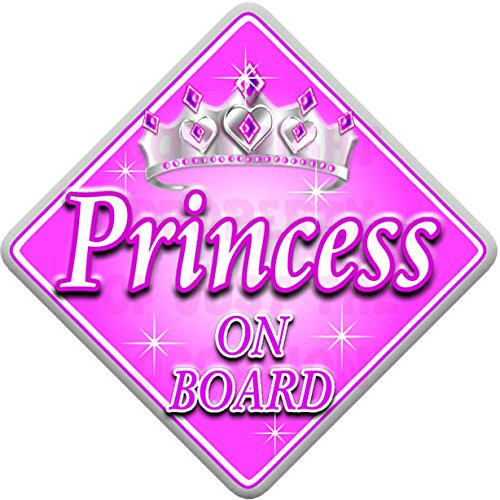 PINK & SILVER PRINCESS Baby on Board Car Window Sign