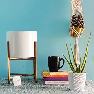 ecofynd Centuria Mid Century Metal Plant Pot Set | Indoor Round Planter with Metal Stand (Pot: White, Stand: Gold, Large)