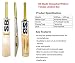 SB Blade Himachal Willow Cricket Bat ( Size 5) RS.430.00