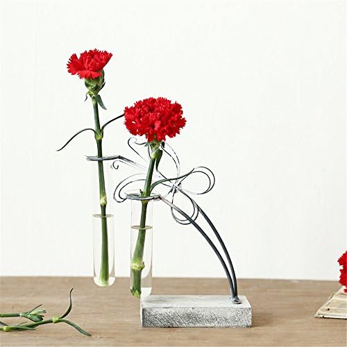 NOHOPE Creative Butterfly Heart-Shaped Hydroponic Glass Test Tube Vase Home Desktop Decorative Vase Ornament,A