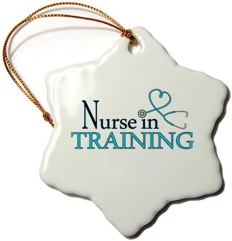 cwb2jcwb2jcwb2j 3-Inch Porcelain Snowflake Decorative Hanging Ornament, Nursein Training Pink Heart Stethoscope
