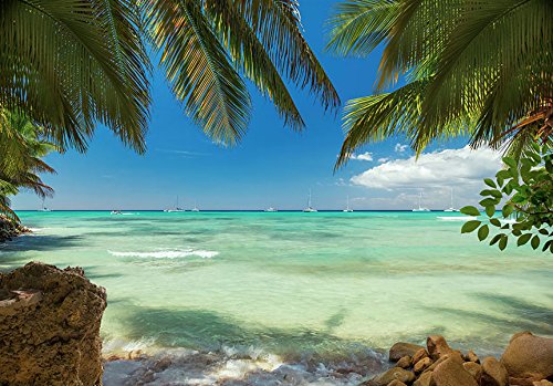 FOTOTAPETE 300×210 cm – VLIES TAPETE PREMIUM – PROFI QUALITÄT – Top moderne Wanddeko – Riesen Wandbild – Top Design Tapete – Neue exklusive Edition mit noch besser Druckauflösung – Deutsches Premium Vlies – Natur Meer Palmen c-A-0055-a-a - 3