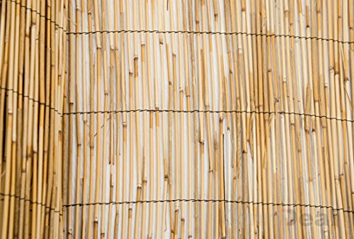 Schilfrohrmatte Sichtschutz Gobi 300×90 cm - 2