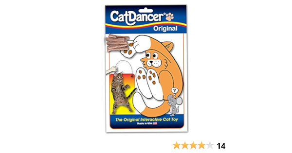 cat dancer amazon