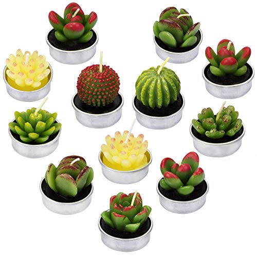 LA BELLEFÉE - Velas Cactus, Vela suculenta Plantas Verdes para Decoraciones Navidad casa favores de cumpleaños Fiestas de Boda - 12 Piezas