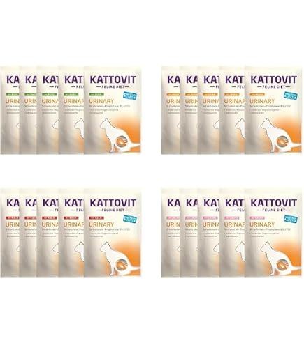 kartoffeln im hundefutter Huhn und Kartoffeln Hundefutter| Getreidefrei und Hypoallergen