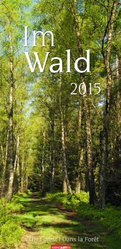 Im Wald 2015