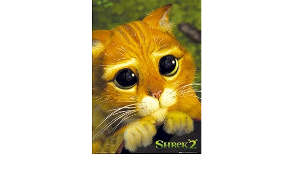 Poster Shrek Le Chat Potte Maxi 61 X 91 5cm Amazon Fr Cuisine Et Maison