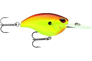 Storm Arashi Flat 07 Pêche Appât