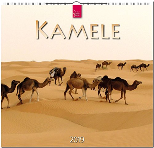 MF-Kalender KAMELE 2019