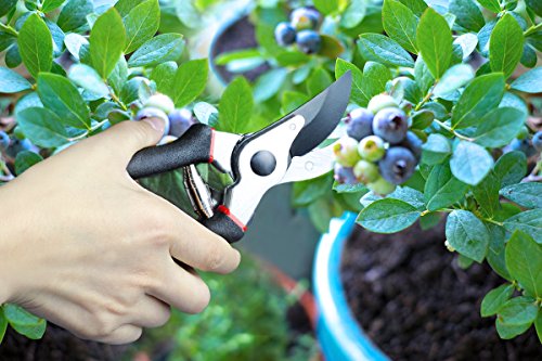 SHINE HAI Gartenschere Astschere Rebschere Baumschere, Profi Bypass Pruner, SK5 Carbon Stahlklingen für präzise Schnitte, leicht und Komfort, ideal für Scheren Zweige z.b. Bäume, Pflanzen und Früchte - 6
