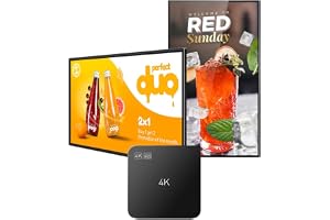Lunzn Digital Signage Player 4K Reklamdisplay USB Autoplay Video Player utan prenumeration CMS