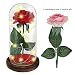 Produktbild Stoff Rote Rose in Glaskuppel Asommet Led - Leuchten Angeregt mit Dem Hölzernen Brau Basis fallen, für die Einrichtung Hochzeit Dekorationen und Als Geschenk Verpackt für Valentines Tag Oder Muttertag