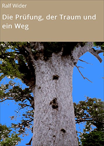 Die Prüfung, der Traum und ein Weg (Ferry Blacks Abenteuer)