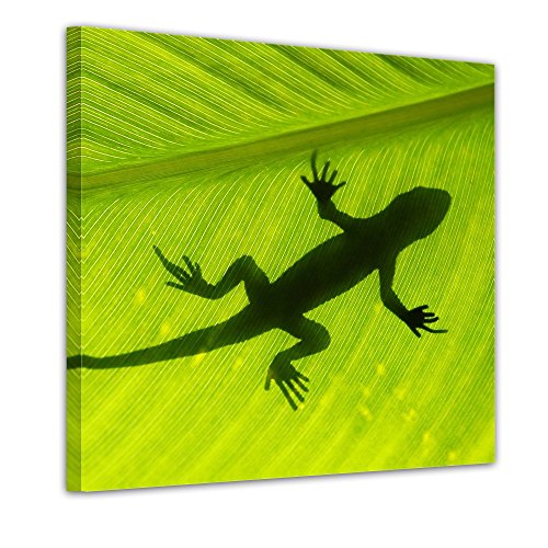 Wandbild – Set Pflanzen – 4teilig – je 20x20cm – Kunstdruck – eigene Herstellung - 5