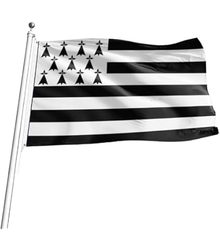 Pirate - Mini Drapeau De Table 10 X 15 Cm - MaxFlags - Monsieur-des