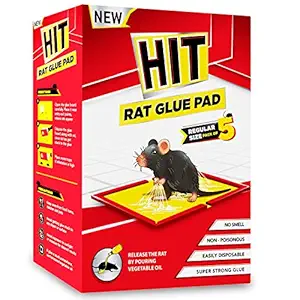 HIT Rat/Mouse Trap Glue Pad, Pack of 5 (Regular Size) - No Smell, Non-Poisonous, Easy to Use, Easily Disposable