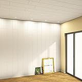 Deckenpaneele aus Holz und Kunststoff verlegen, montieren und streichen