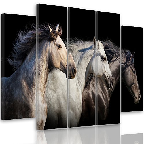 Feeby Frames, Cuadro en lienzo - 5 partes - Cuadro impresión, Cuadro decoración, Canvas Tipo B, 100x200 cm, CABALLOS, ANIMALES, NATURALEZA, NEGRO, BLANCO