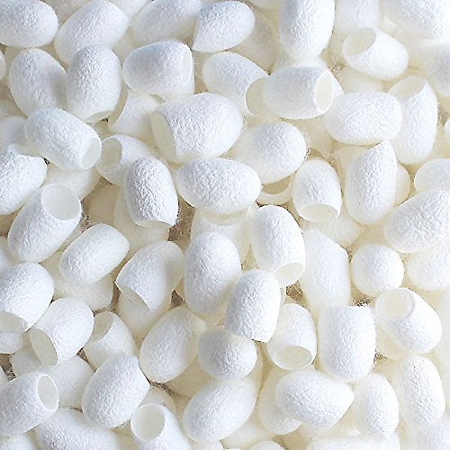 Edealing 100PCS New Organic Natural Whitening Seidenkokons Seidenraupe Balls Gesichtshaut