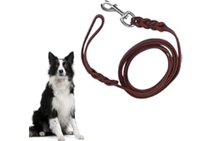YOUTHINK Leder Hundeleine, 2.1 m/6.9 ft Lederleine f¨¹r Hunde Starke und Weiche Hunde Lederleine Hochwertig Langlebig Gehleine Trainingsleine f¨¹r Mittlere Gro?e Hunde