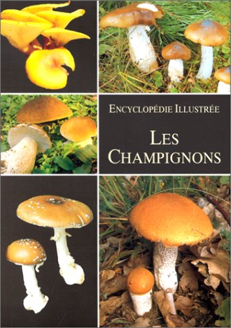 couverture de : Les champignons