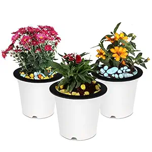Kurtzy Polypropylene Self Watering Flowering Plant Pots, Multicolour, 18x16 cm, Pack of 3