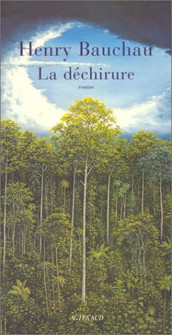 couverture de : La d&eacute;chirure