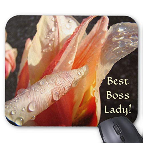 Preisvergleich Produktbild BGLKCS