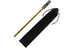 COACOM 1 flet blaszany z sześcioma otworami i 1 kieszeń na flet prosty, Penny Whistle, blaszany gwizdek ze stopu aluminium, instrument fletowy dla początkujących, narzędzie instrumentowe w kształcie litery D