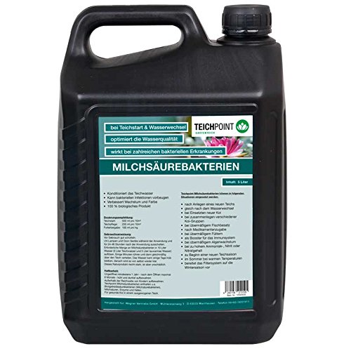5 Liter Teichpoint Original Milchsäurebakterien, Probiotische Bakterienkulturen für Koi, Koiteich u. Gartenteich zum Algenabbau und Schadstoffabbau im Teichwasser