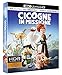 Cicogne In Missione (Blu-Ray 4K Ultra HD+Blu-Ray) [Italia] [Blu-ray]