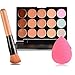 15 Colors Contour Face Cream Makeup Concealer Palette + Sponge Puff Powder Brush