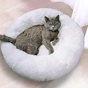 Mollismoons Bed?for Persian Cats and Small Size Dogs (White, 70 cm)