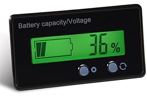 Richer-R Universel Testeur de Batterie numérique avec cble de Connexion, Compteur de capacité Batterie avec Écran LCD Rétroéclairage Vert, 12-48V indicateur de Batterie d'acide de Plomb