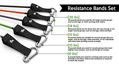 Widerstandsband-Set :: Beste Fitnessbänder für Fitnesstraining / Stretching / Workout Zuhause :: Trainingsbänder mit strapazierfähigen Schaum-Griffen, Fußschlaufen & Türanker :: Übungsbänder für Arme & Beine :: 100%-Geld-zurück-Garantie & lebenslange Gewährleistung - 2