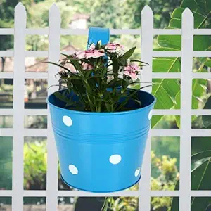 The Radiant Metal Iron Multi Pot Railing Planter/Hanging Flower Pot Gamla (Pack of 5) (Blue)
