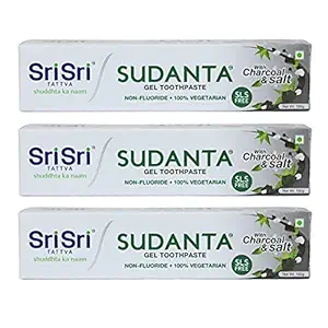 Sri Sri Tattva Sudanta Herbal Gel Toothpaste - All Natural, SLS Free, Fluoride Free Tooth Paste with Charcoal, Salt & More - 100g (Pack of 3), for Kids and Adults