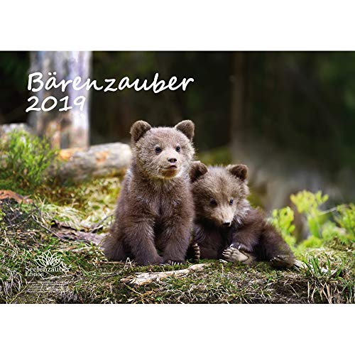 Download Ours magique – Format A3 – Haute Calendrier 2019 – Ourson – Forêt – Naturel – Animal – désert – Coffret cadeau avec 1 carte de vœux et 1 carte de Noël – Édition âme magique