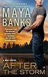 Cover zum Buch After the Storm