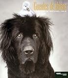 Gueules de chiens (Ancien prix Editeur: 13 Euros )