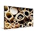 Produktbild Premium Textil-Leinwand 75 cm x 50 cm quer, Ein Motiv aus dem Kalender Wildbienen und andere Besucher am Insektenhotel | Wandbild, Bild auf Leinwand, Leinwanddruck (CALVENDO Tiere)