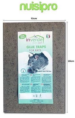 NUISIPRO Plaques de glu en bois anti souris anti rat lot de 2 pièges - 19x28cm