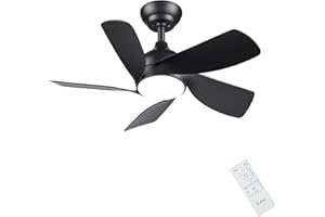 CJOY Black Ceiling Fan, 30 inch Ceiling Fans with Lighting and Remote, 6 Speeds and Dimmable, 5 Blades Reversible DC, Fan Light for Bedroom, Kids Room, Living Room