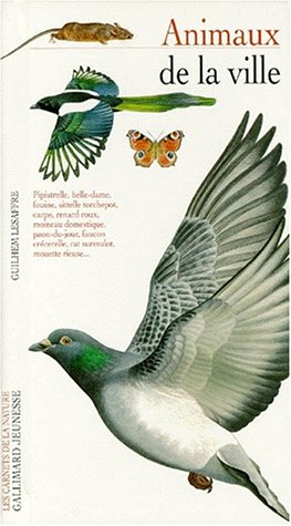 couverture de : Animaux de la ville